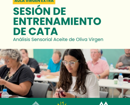 Personas participando en una sesión de entrenamiento de cata de aceite de oliva, de Aula Virgen Extra. analizando muestras Organizan Fundación Eurocaja Rural y DOP Montes de Toledo