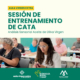 Personas participando en una sesión de entrenamiento de cata de aceite de oliva, de Aula Virgen Extra. analizando muestras Organizan Fundación Eurocaja Rural y DOP Montes de Toledo
