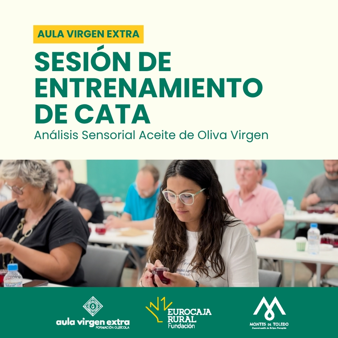 Personas participando en una sesión de entrenamiento de cata de aceite de oliva, de Aula Virgen Extra. analizando muestras Organizan Fundación Eurocaja Rural y DOP Montes de Toledo