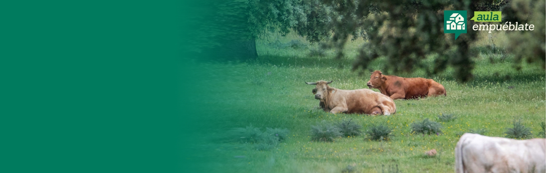 Imagen de Aula Empuéblate con vacas descansando en un prado y elementos gráficos que representan la vida, la agricultura y el desarrollo rural.
